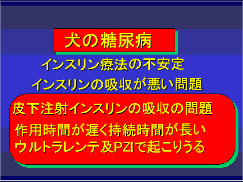 犬の糖尿病54