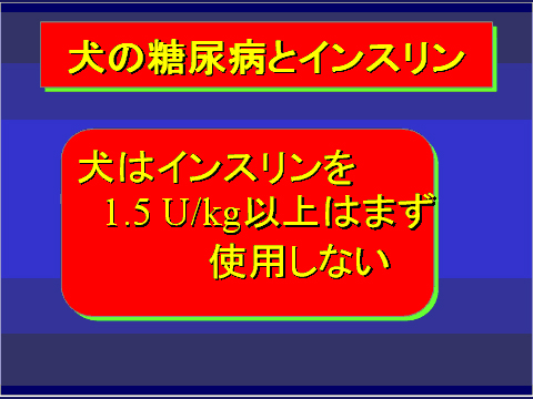 犬の糖尿病とインスリン