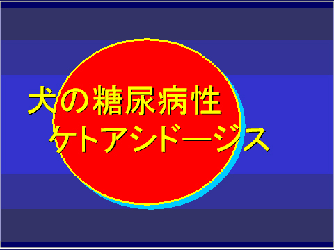 犬の糖尿病性ケトアシドーシス