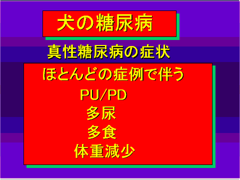 犬の糖尿病07