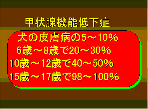 甲状腺機能低下症02