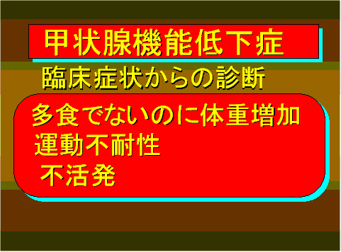 甲状腺機能低下症10