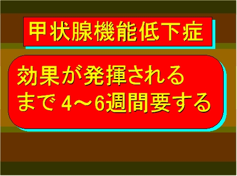 甲状腺機能低下症14