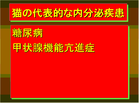 猫の代表的な内分泌疾患