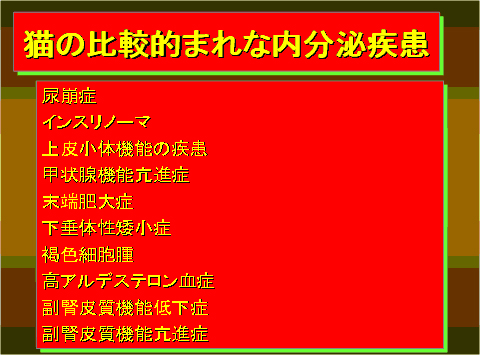猫の比較的まれな内分泌疾患