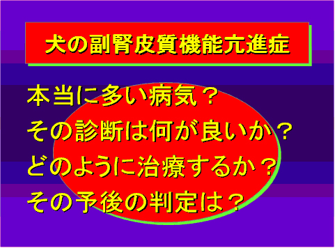 犬の副腎皮質機能亢進症