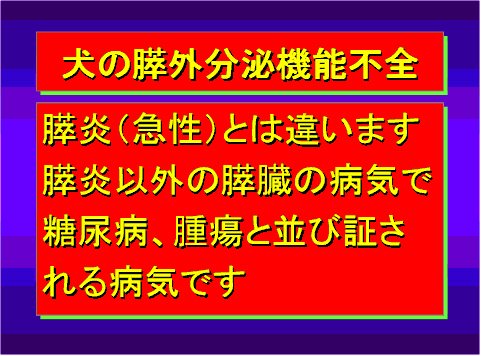 犬の膵外分泌機能不全