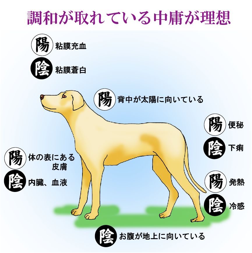 調和が取れている中庸が理想