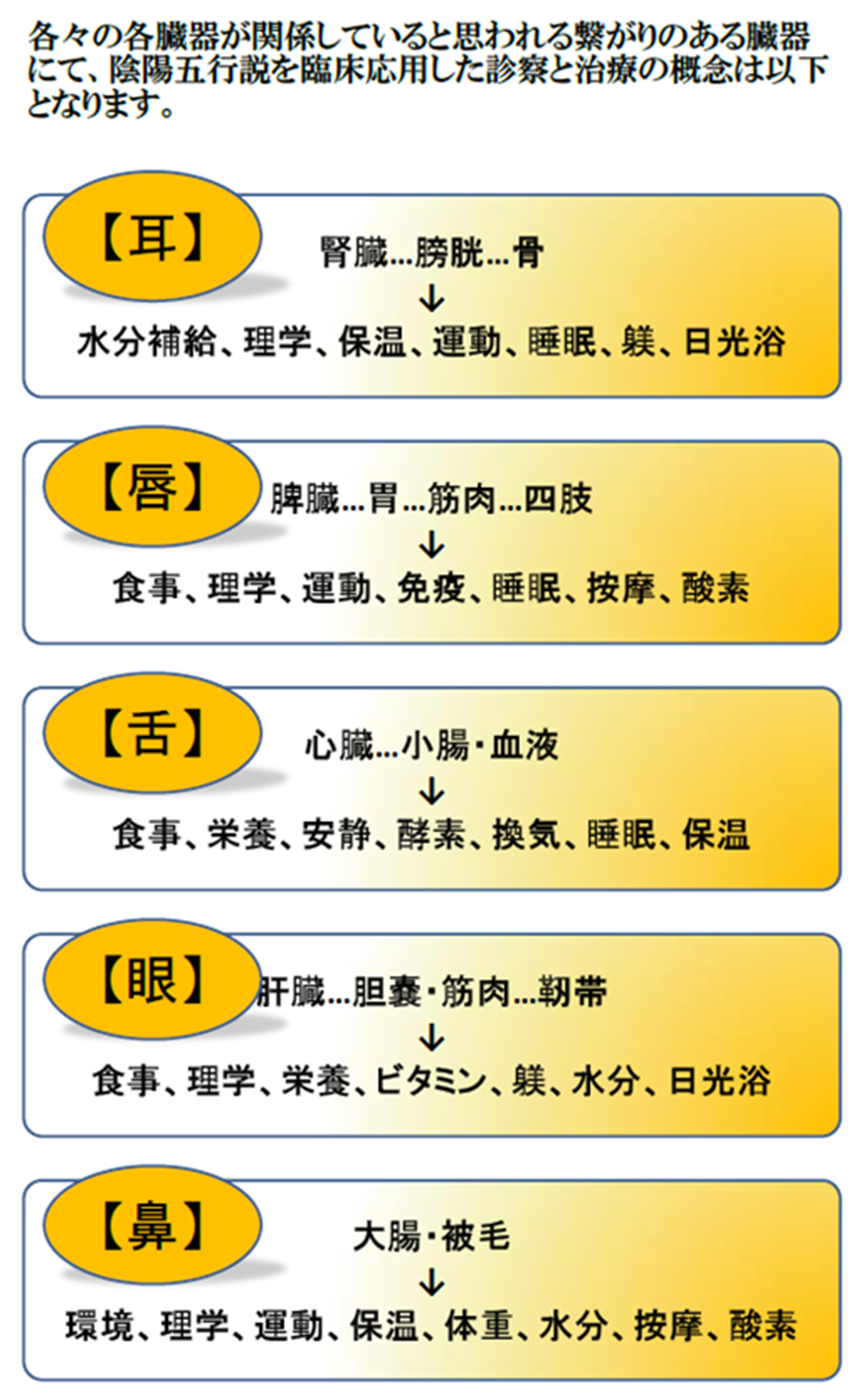 各臓器が関係していると思われる繋がりのある臓器とその治療法