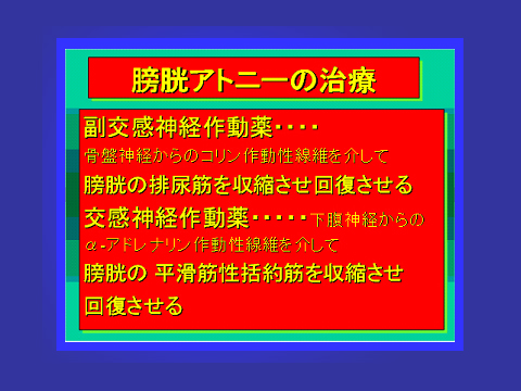 膀胱アトニーの治療01