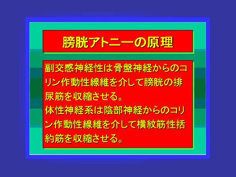 膀胱アトニーの原理