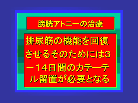 膀胱アトニーの治療05