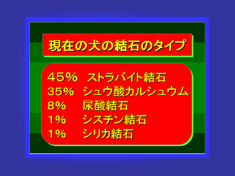 現在の犬の結石のタイプ
