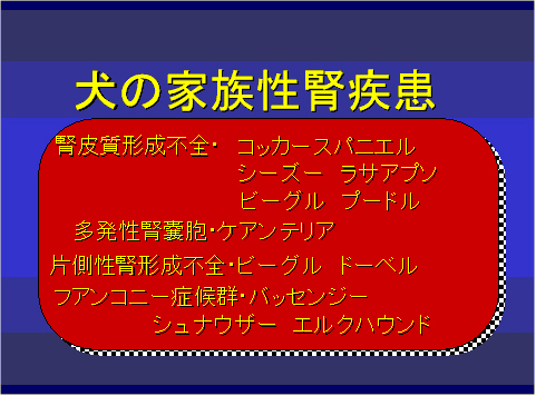 犬の家族性腎疾患