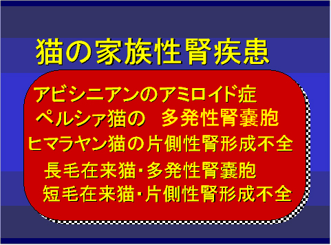 猫の家族性腎疾患