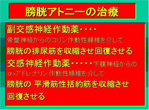 膀胱アトニーの治療01