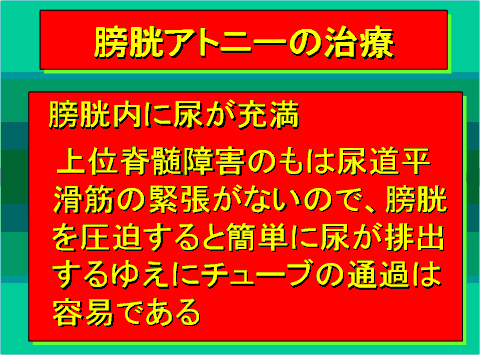 膀胱アトニーの治療02