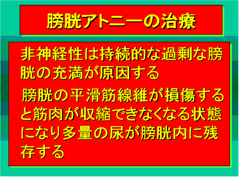 膀胱アトニーの治療03