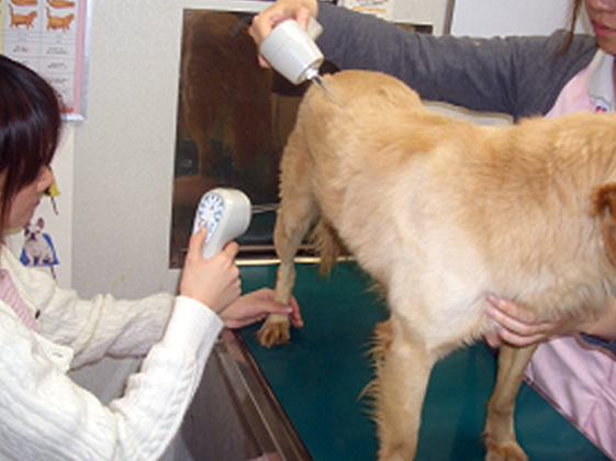 2つのパルスレーザーを同時に使用