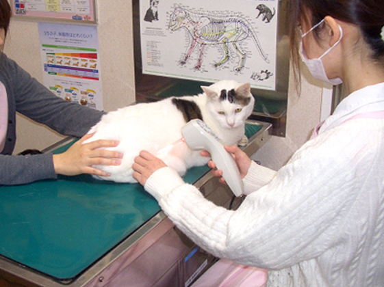 関節の痛みに対する照射の様子