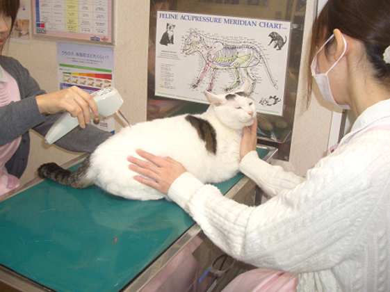 ピンポイントの照射