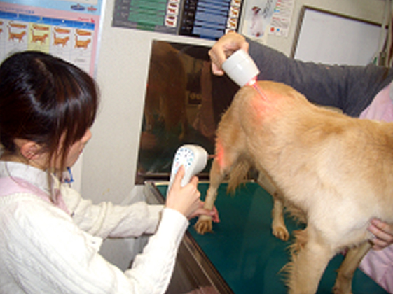 2つのパルスレーザーを同時に使用