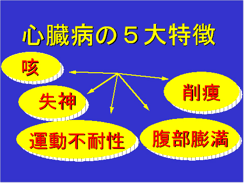心臓病の5大特徴