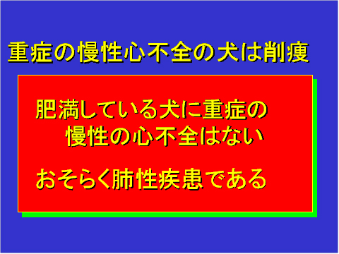 重症の慢性心不全の犬は削痩