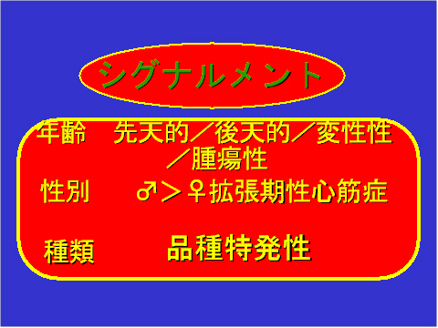 シグナルメント